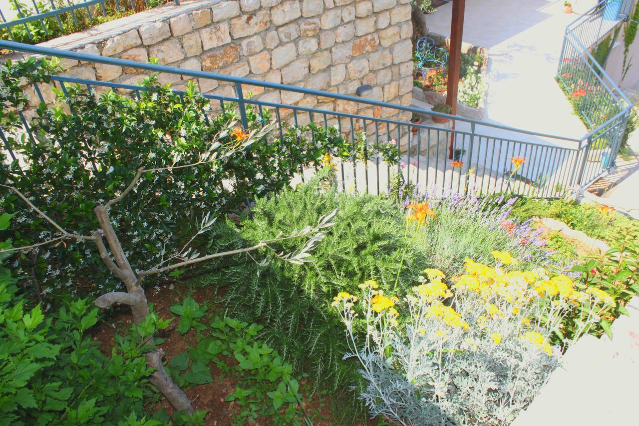 Blue Mediterranean