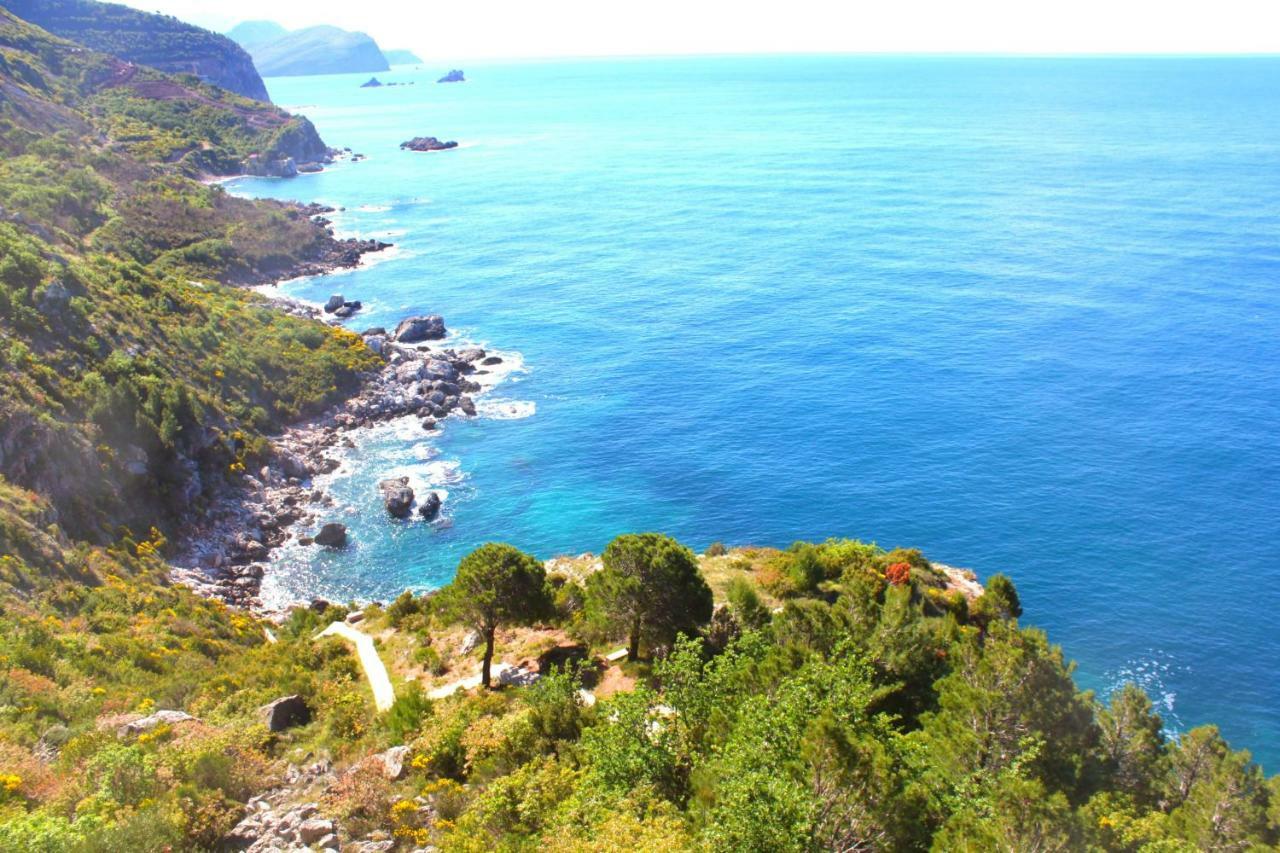 Blue Mediterranean