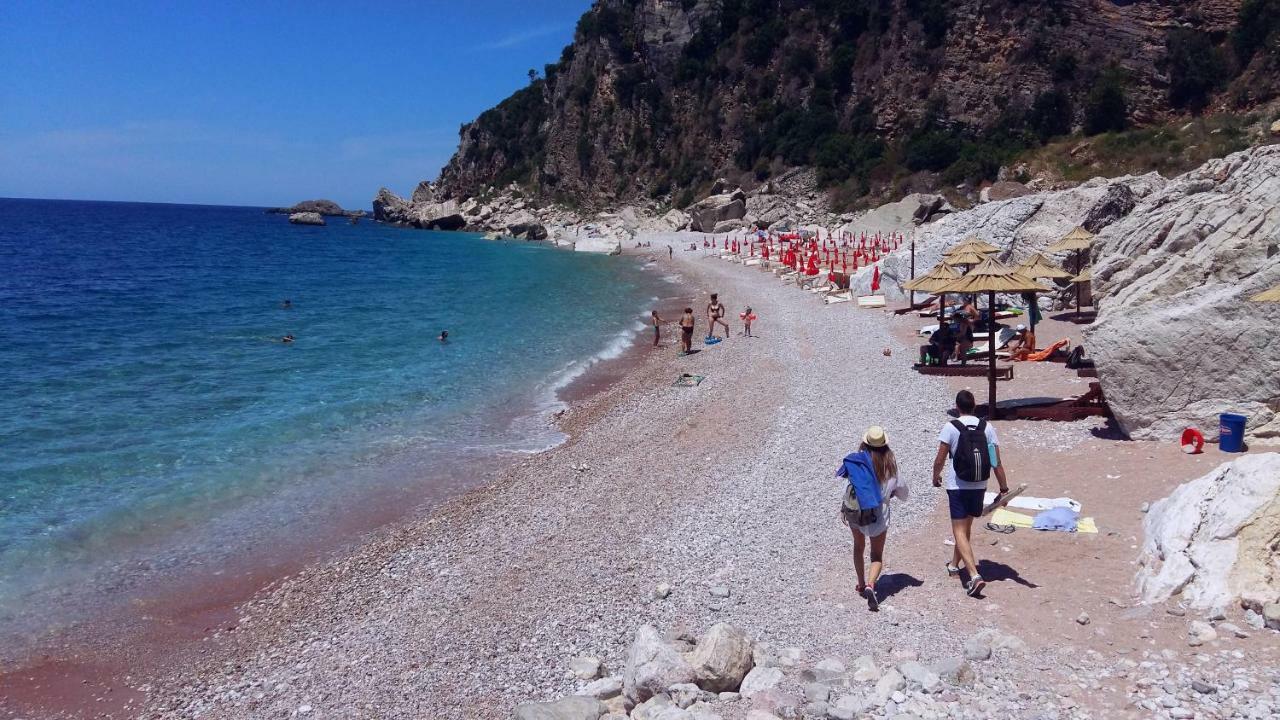 Blue Mediterranean 斯韦蒂·斯特凡