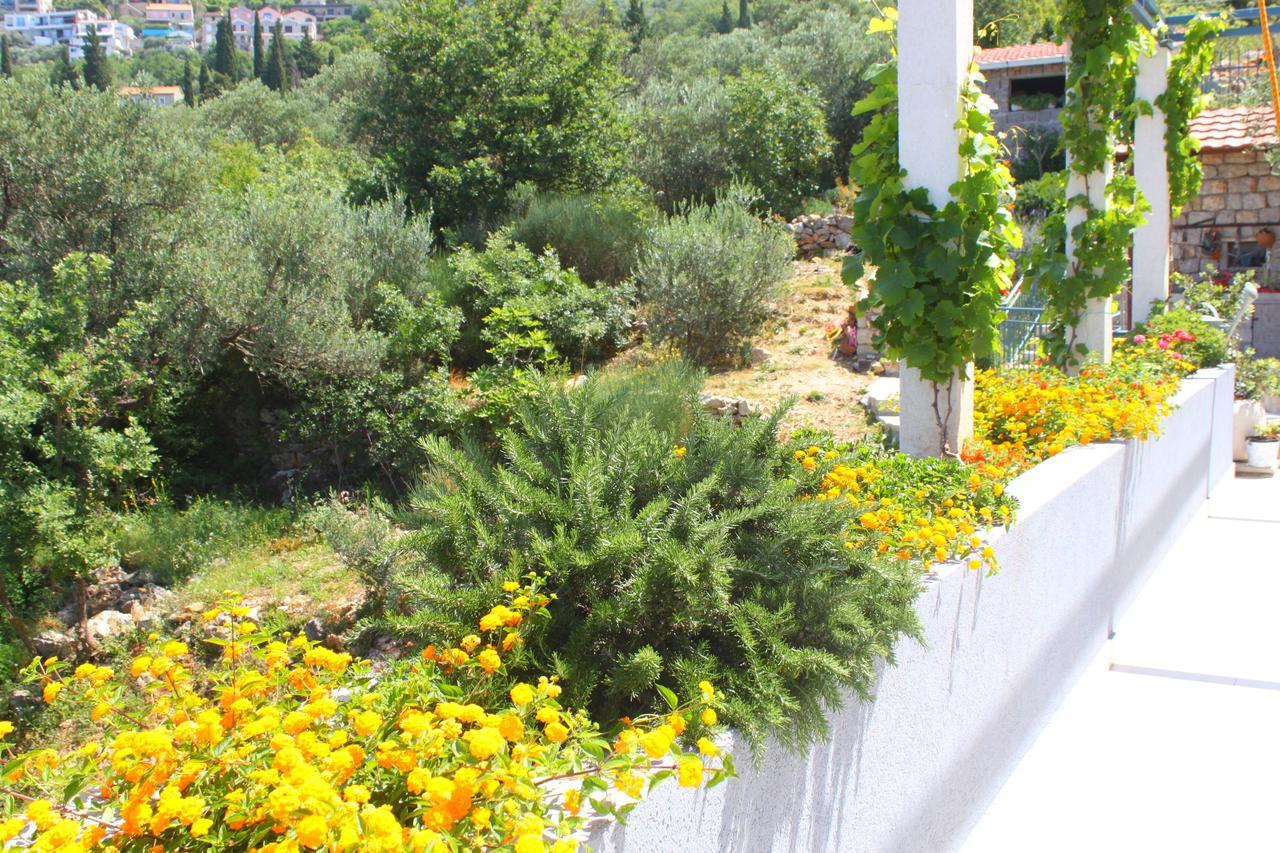 Apartment Blue Mediterranean *